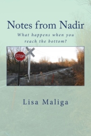 notes from nadir paperback